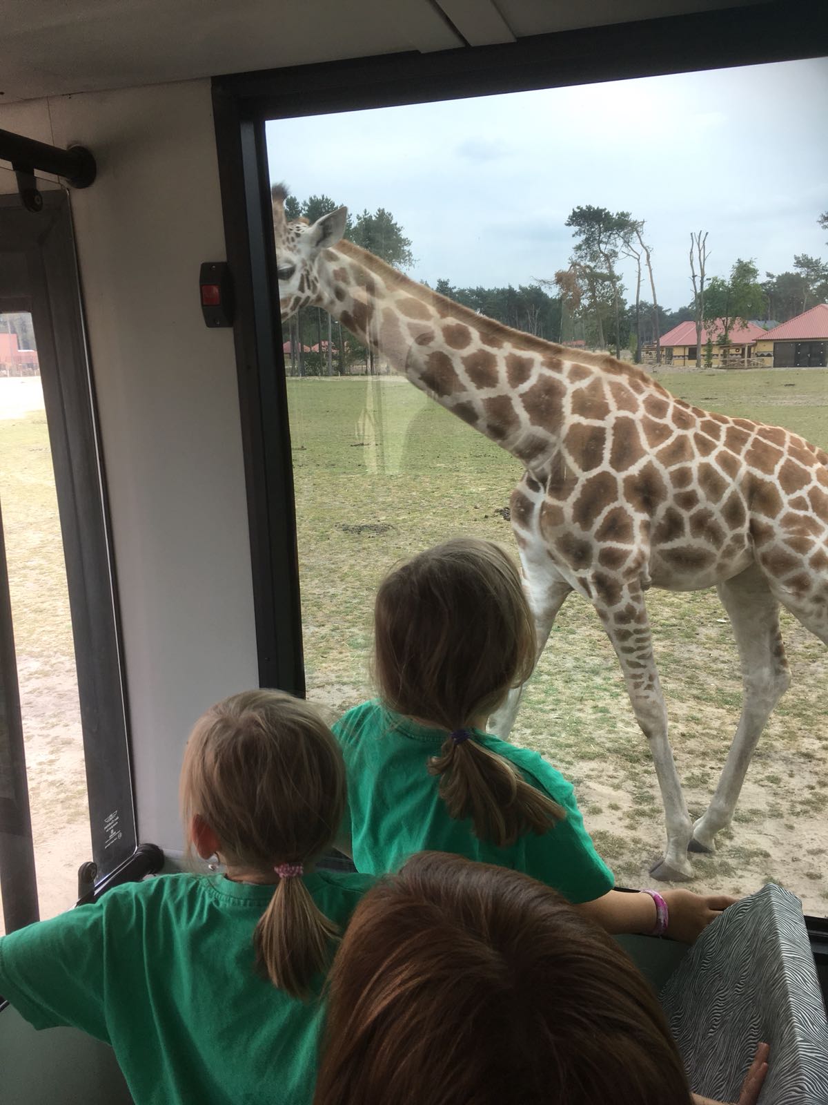 Op schoolreis naar de Beekse bergen en Speelland.